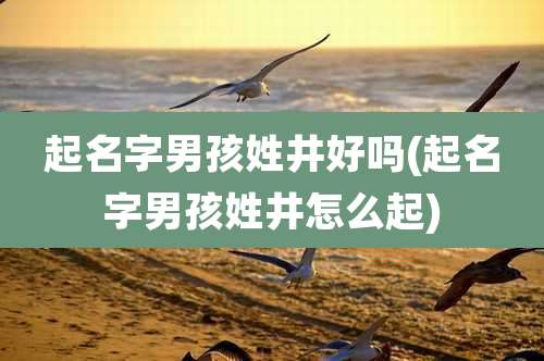 起名字男孩姓井好吗(起名字男孩姓井怎么起)