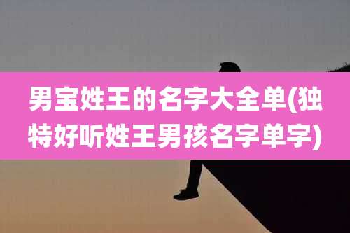 男宝姓王的名字大全单(独特好听姓王男孩名字单字)