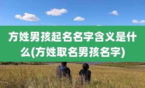 方姓男孩起名名字含义是什么(方姓取名男孩名字)
