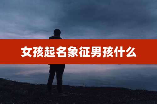 女孩起名象征男孩什么