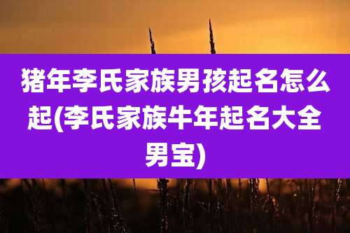 猪年李氏家族男孩起名怎么起(李氏家族牛年起名大全男宝)