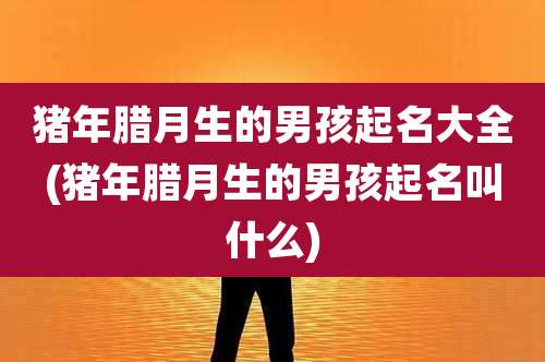 猪年腊月生的男孩起名大全(猪年腊月生的男孩起名叫什么)