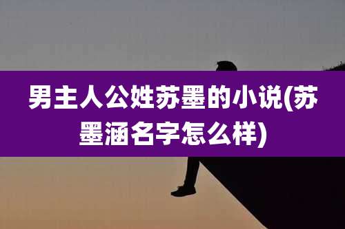 男主人公姓苏墨的小说(苏墨涵名字怎么样)