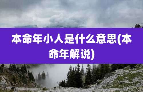 本命年小人是什么意思(本命年解说)