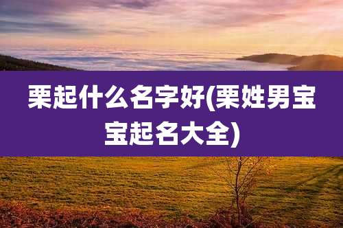 栗起什么名字好(栗姓男宝宝起名大全)