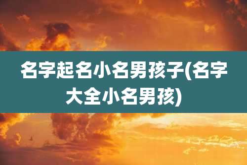 名字起名小名男孩子(名字大全小名男孩)