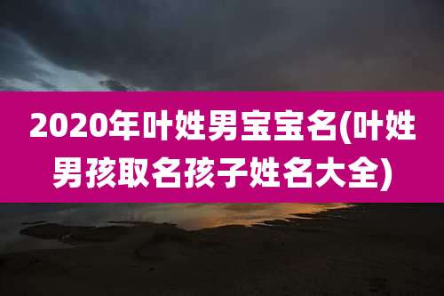 2020年叶姓男宝宝名(叶姓男孩取名孩子姓名大全)