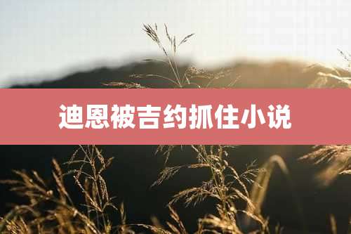 迪恩被吉约抓住小说