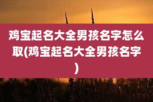 鸡宝起名大全男孩名字怎么取(鸡宝起名大全男孩名字)