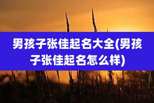 男孩子张佳起名大全(男孩子张佳起名怎么样)