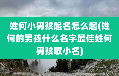 姓何小男孩起名怎么起(姓何的男孩什么名字最佳姓何男孩取小名)