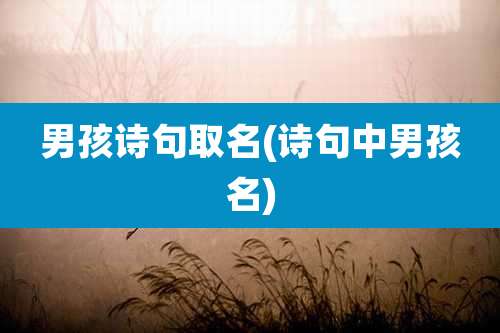 男孩诗句取名(诗句中男孩名)