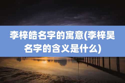李梓皓名字的寓意(李梓昊名字的含义是什么)