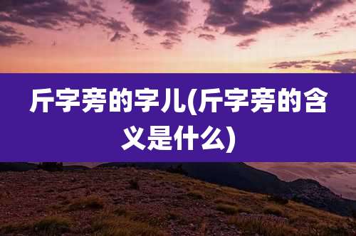 斤字旁的字儿(斤字旁的含义是什么)