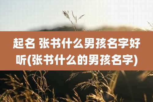 起名 张书什么男孩名字好听(张书什么的男孩名字)