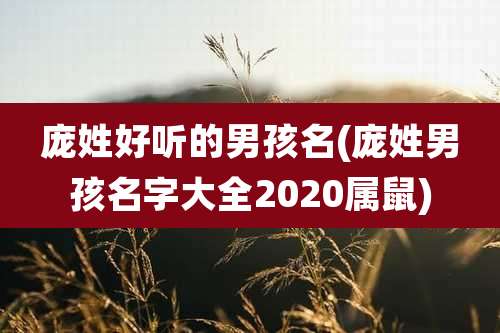 庞姓好听的男孩名(庞姓男孩名字大全2020属鼠)