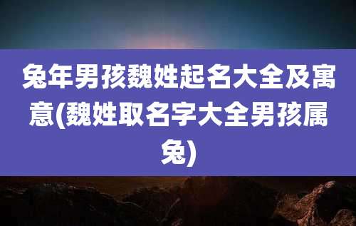 兔年男孩魏姓起名大全及寓意(魏姓取名字大全男孩属兔)