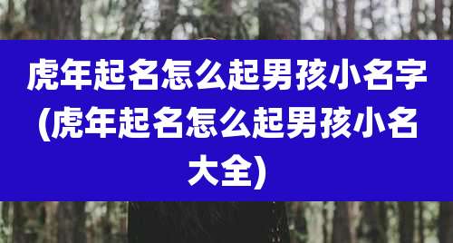 虎年起名怎么起男孩小名字(虎年起名怎么起男孩小名大全)