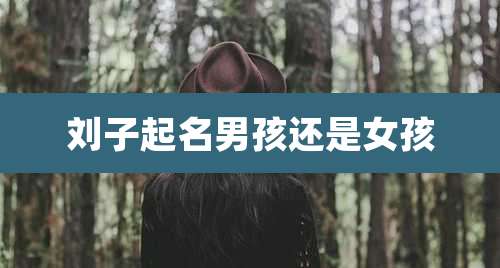 刘子起名男孩还是女孩