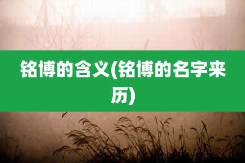 铭博的含义(铭博的名字来历)