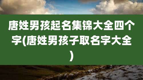 唐姓男孩起名集锦大全四个字(唐姓男孩子取名字大全)