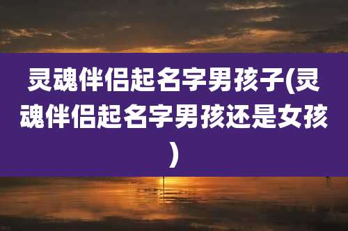 灵魂伴侣起名字男孩子(灵魂伴侣起名字男孩还是女孩)