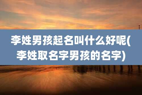 李姓男孩起名叫什么好呢(李姓取名字男孩的名字)