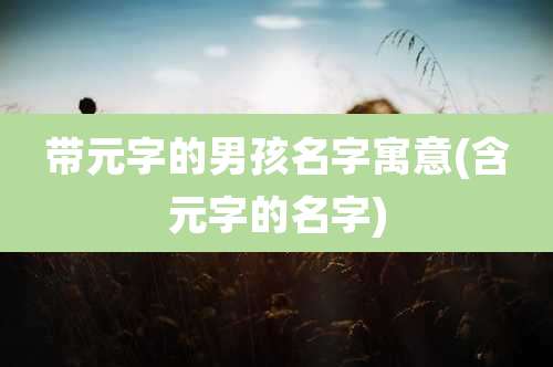 带元字的男孩名字寓意(含元字的名字)