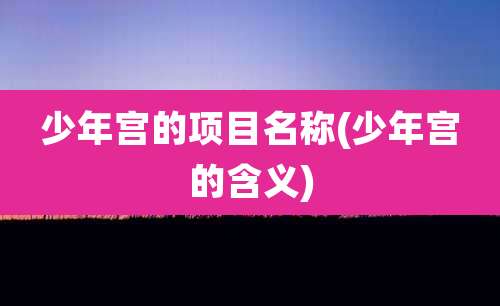 少年宫的项目名称(少年宫的含义)