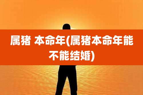 属猪 本命年(属猪本命年能不能结婚)