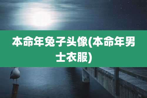本命年兔子头像(本命年男士衣服)
