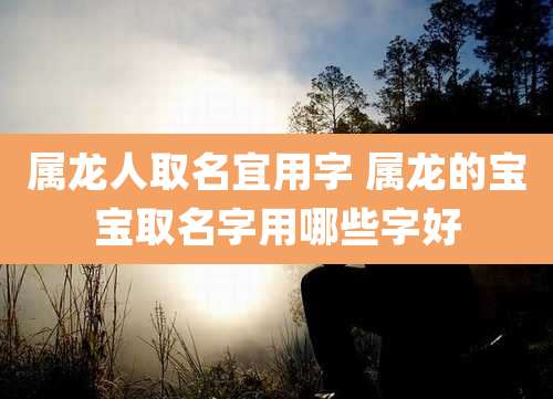 属龙人取名宜用字 属龙的宝宝取名字用哪些字好