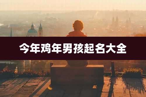 今年鸡年男孩起名大全
