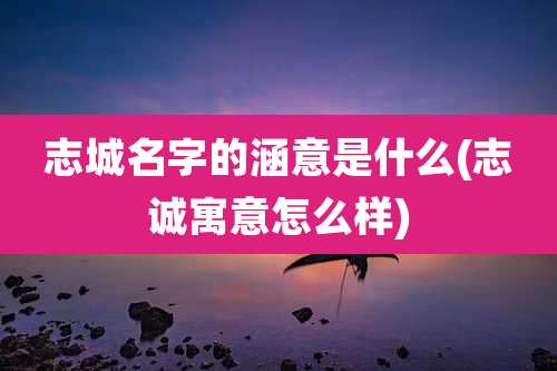 志城名字的涵意是什么(志诚寓意怎么样)