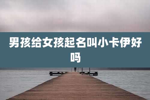 男孩给女孩起名叫小卡伊好吗