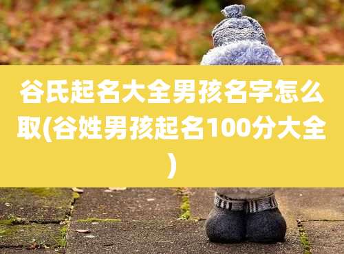 谷氏起名大全男孩名字怎么取(谷姓男孩起名100分大全)
