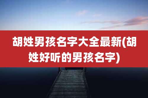 胡姓男孩名字大全最新(胡姓好听的男孩名字)