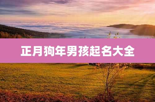 正月狗年男孩起名大全