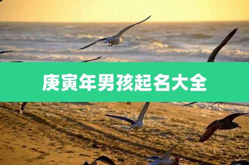 庚寅年男孩起名大全