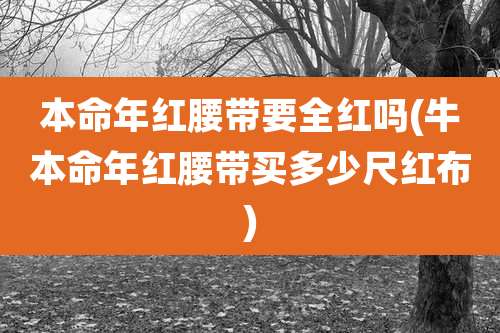 本命年红腰带要全红吗(牛本命年红腰带买多少尺红布)