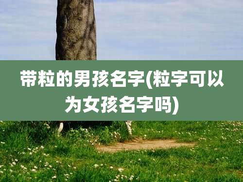 带粒的男孩名字(粒字可以为女孩名字吗)