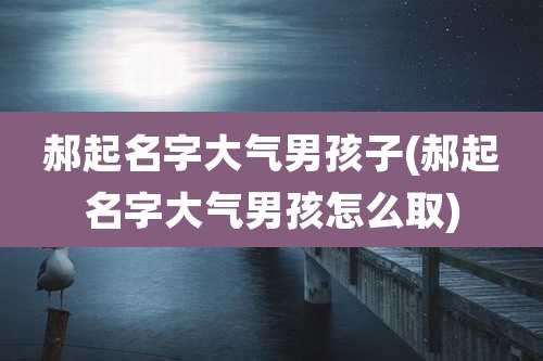 郝起名字大气男孩子(郝起名字大气男孩怎么取)