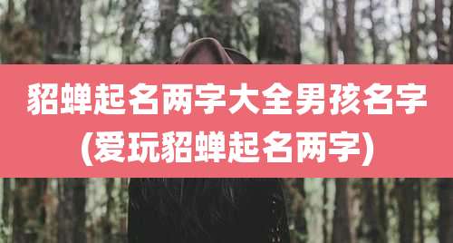 貂蝉起名两字大全男孩名字(爱玩貂蝉起名两字)