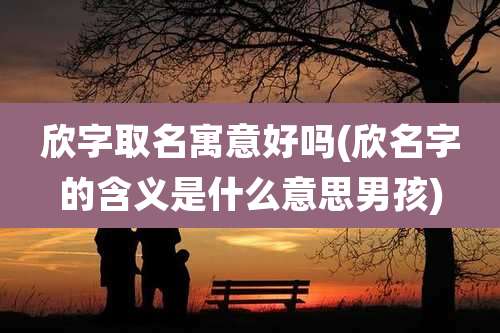 欣字取名寓意好吗(欣名字的含义是什么意思男孩)