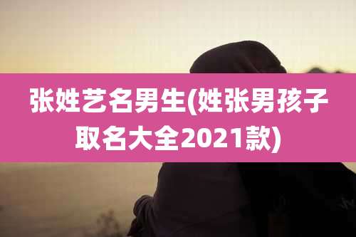 张姓艺名男生(姓张男孩子取名大全2021款)
