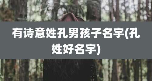 有诗意姓孔男孩子名字(孔姓好名字)