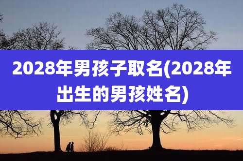 2028年男孩子取名(2028年出生的男孩姓名)