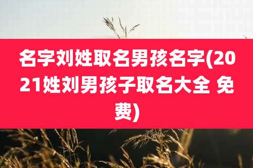 名字刘姓取名男孩名字(2021姓刘男孩子取名大全 免费)