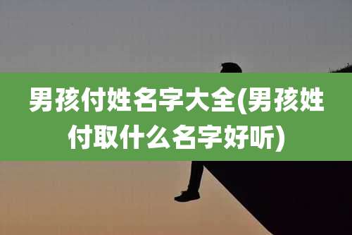 男孩付姓名字大全(男孩姓付取什么名字好听)
