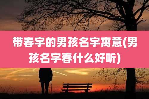 带春字的男孩名字寓意(男孩名字春什么好听)